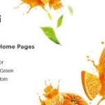 Ogami WordPress Theme Nulled Free Download