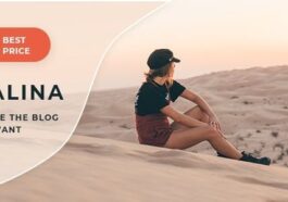 Malina Theme Nulled Personal WordPress Theme Blog Free Download