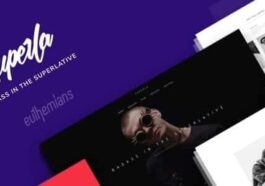 Zuperla Theme Nulled Creative Multi-Purpose WordPress Theme Free Download