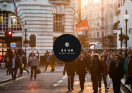 Free Download SOHO Theme Nulled