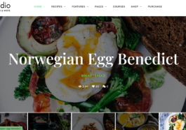 free download TinySalt - Personal Food Blog WordPress Theme nulled