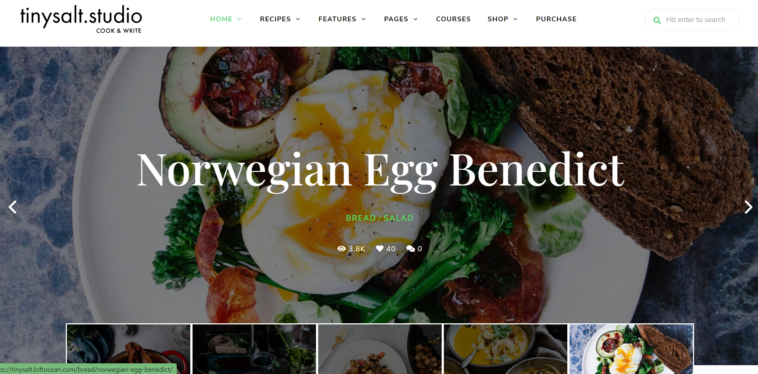 free download TinySalt - Personal Food Blog WordPress Theme nulled