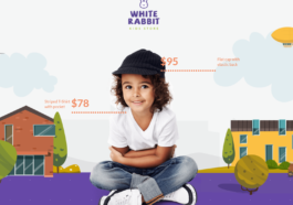 free download White Rabbit - Kids Toys & Children Clothing Store nulled