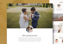 free download Brian - Wedding WordPress Theme nulled