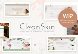 free download CleanSkin Handmade Organic Soap & Natural Cosmetics Shop WordPress Theme nulled