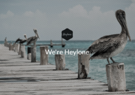 free download Heylone - One Page Parallax WordPress Theme nulled