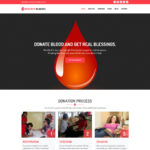 free download Reddrop Buddies – Multi-Concept Activism & Blood Donation Campaign WordPress Theme nulled