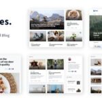 Stories Nulled Laravel Creative Multilingual Blog Free Download