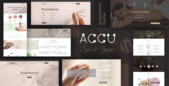 free download Accu - Healthcare, Massage WordPress Theme nulled