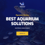 free download Aqualots Aquarium Installation and Maintanance Services WordPress Theme nulled