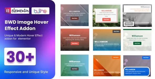 free download BWD Image Hover Effect addon for elementor nulled