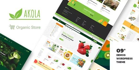 Akola Organic & Food Store WordPress Theme Nulled