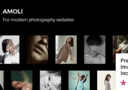 Amoli Fashion Photography Theme Nulled