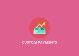 WPruby Nulled WooCommerce Custom Payment Gateway Pro Free Download