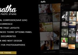 free download Agatha Art Gallery Photography Theme nulled