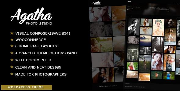 free download Agatha Art Gallery Photography Theme nulled