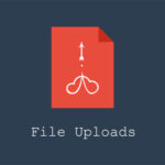 free download User Registration File Upload nulled