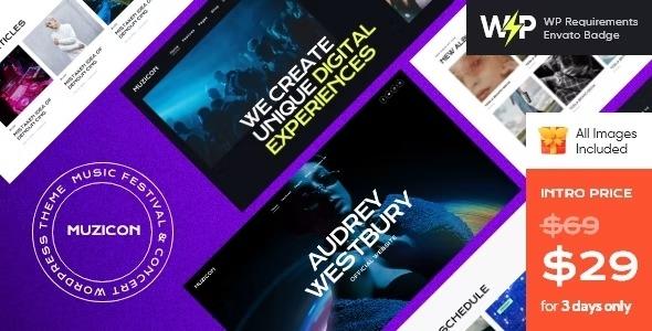 free download Muzicon - Music Festival & Concert WordPress Theme nulled