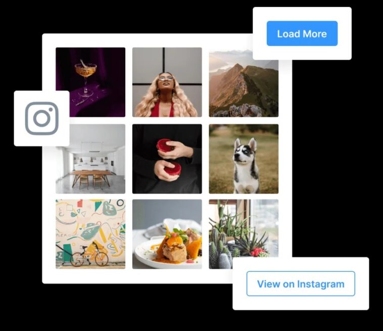 Instagram Widget & Block PRO Nulled (WPZOOM Social Feed Widget & Block Pro) Free Download