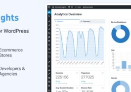 MonsterInsights Pro [Premium] Nulled Google Analytics + All Addons Pack Free Download