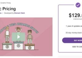 WooCommerce Dynamic Pricing [Element Stark] Nulled Free Download