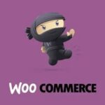 Custom Start Date for WooCommerce Subscriptions Nulled Free Download