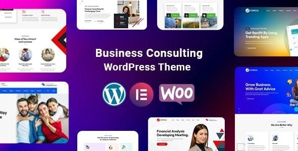 Consua Business Consulting Nulled Free Download