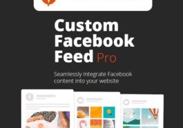 Custom Facebook Feeds Pro Addons [SmashBallon] Nulled Free Download