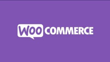 WooCommerce Active Payments by WpDesk Nulled Free Download