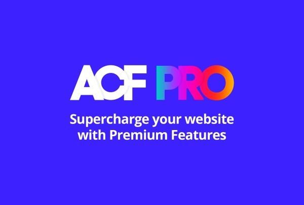 Advanced Custom Fields (ACF) Pro Advanced Custom Fields Extended PRO Download Nulled Free Download