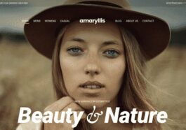 CSS Igniter Amaryllis WordPress Theme Nulled Free Download