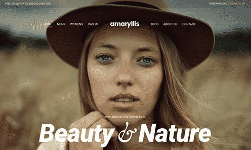 CSS Igniter Amaryllis WordPress Theme Nulled Free Download