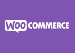 WooCommerce Product Bundles Nulled Free Download