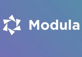 Modula Pro Best WordPress Image Gallery Free + Addons Nulled Free Download