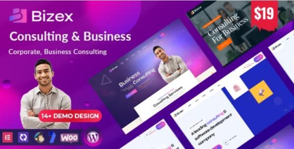 Bizex Business Consulting Nulled Free Download